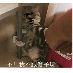 盘点你可能知道的总裁文(图4)