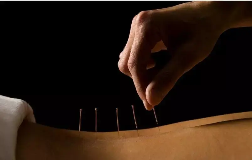 【中英双语】12个中国文化元素，收着给外国学生看！(图7)