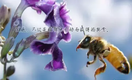 晚安正能量激励语 晚上发朋友圈句子(图10)