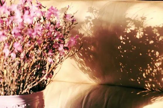 高质量的成熟文案｜外面世界太杂乱，随自己的心就好(图5)