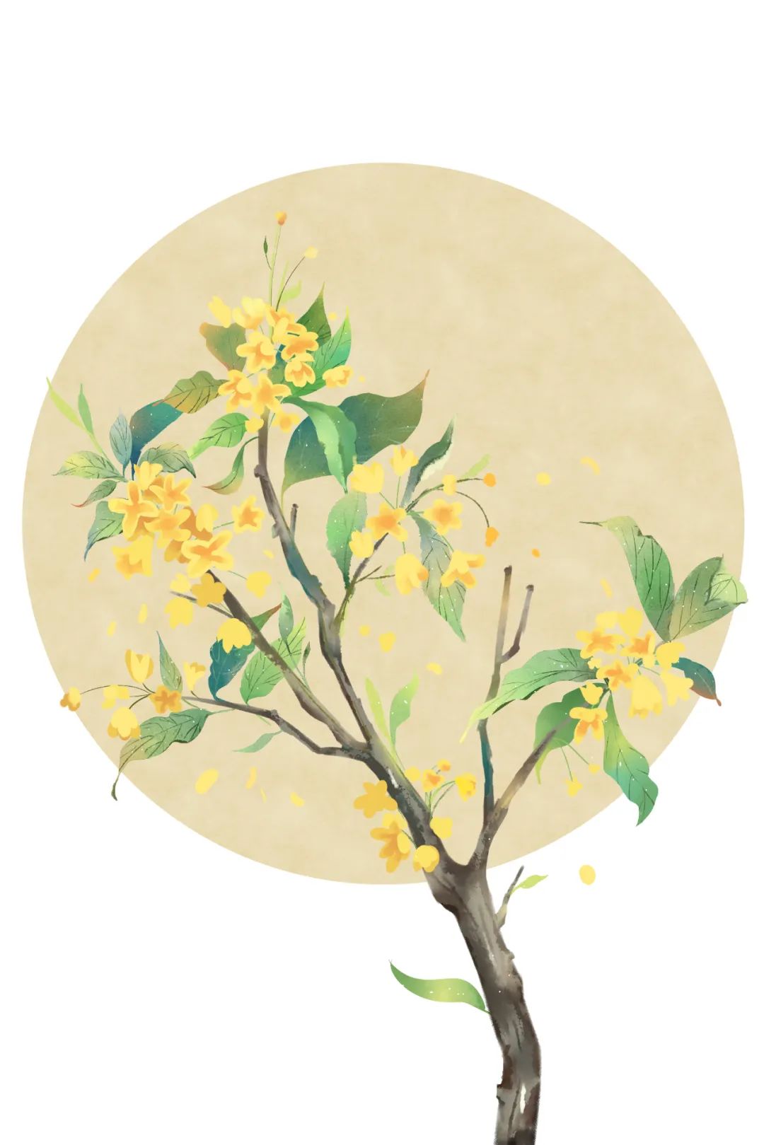 何须浅碧深红色，自是花中第一流 | 10首桂花诗词(图3)