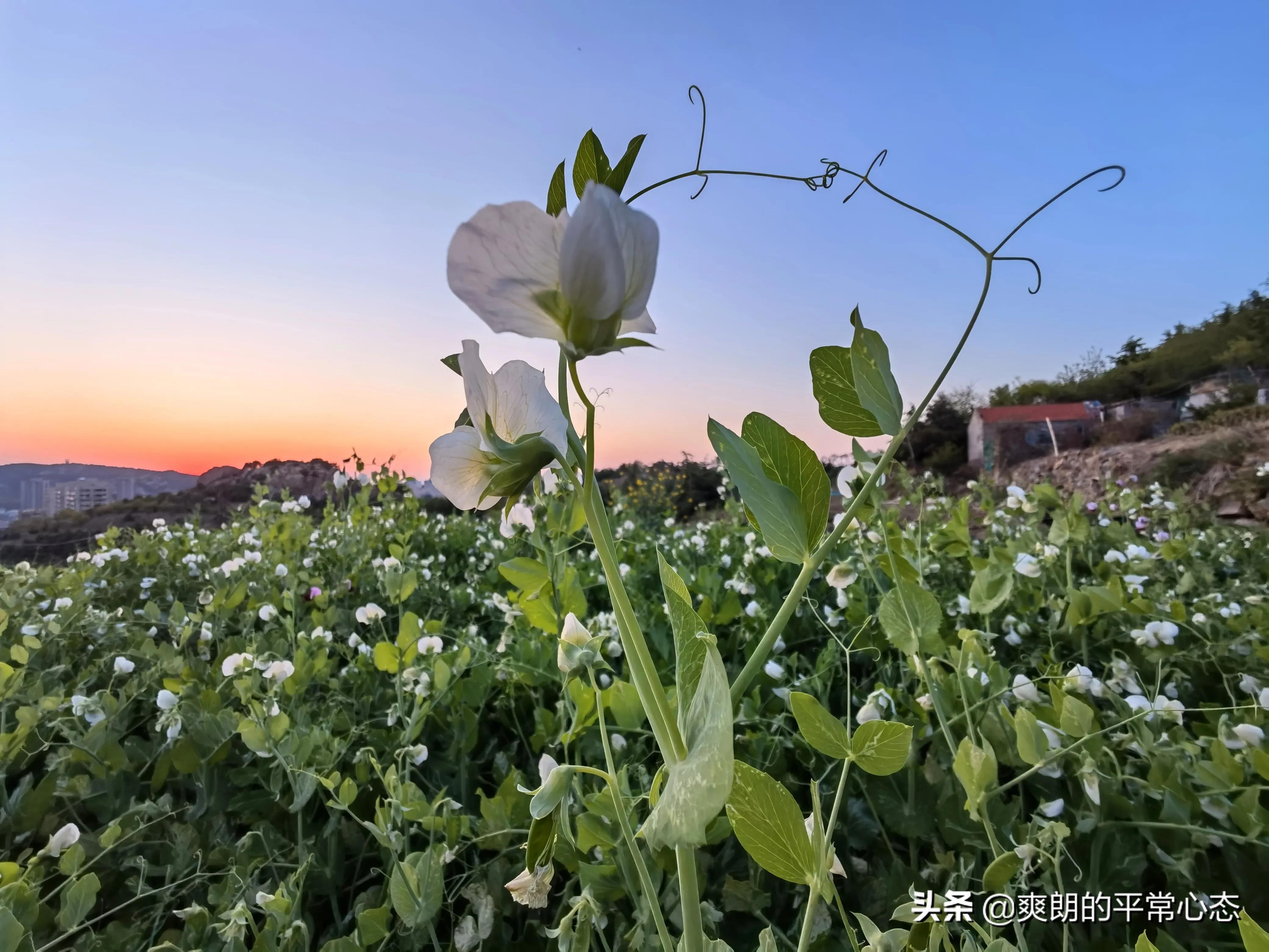 一分耕耘一分收获，努力越大，收获越多(图1)