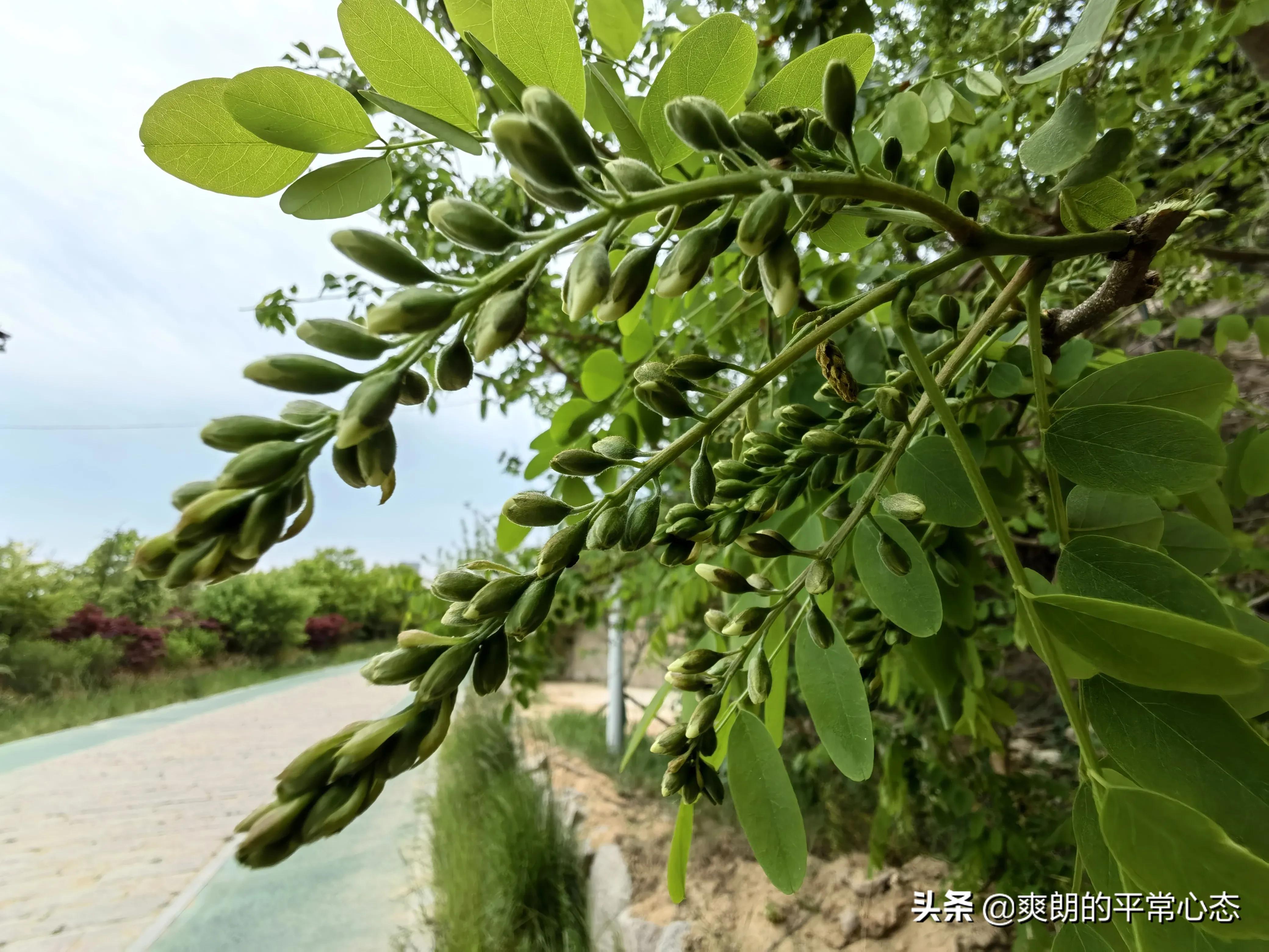 一分耕耘一分收获，努力越大，收获越多(图2)