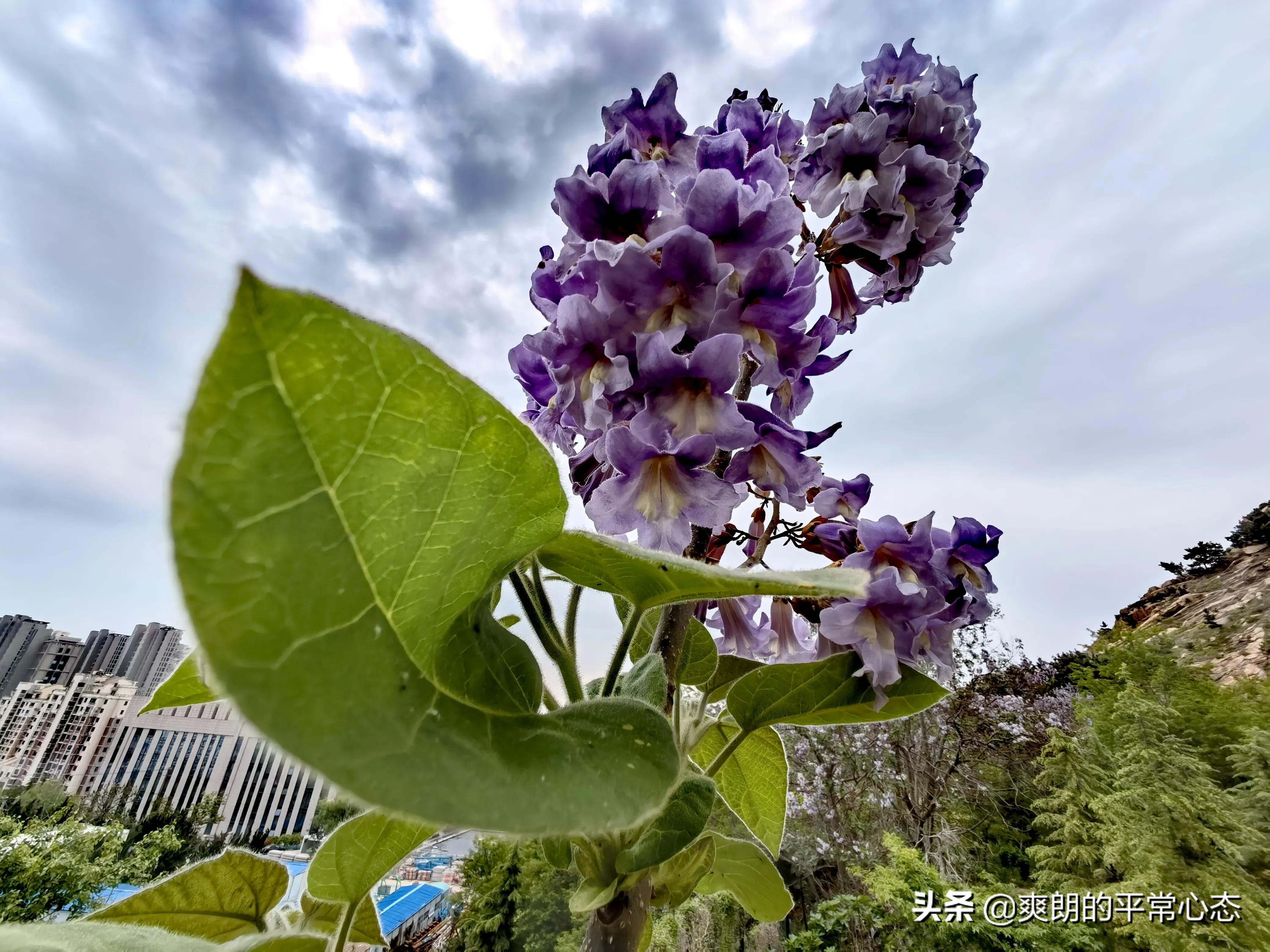 一分耕耘一分收获，努力越大，收获越多(图6)