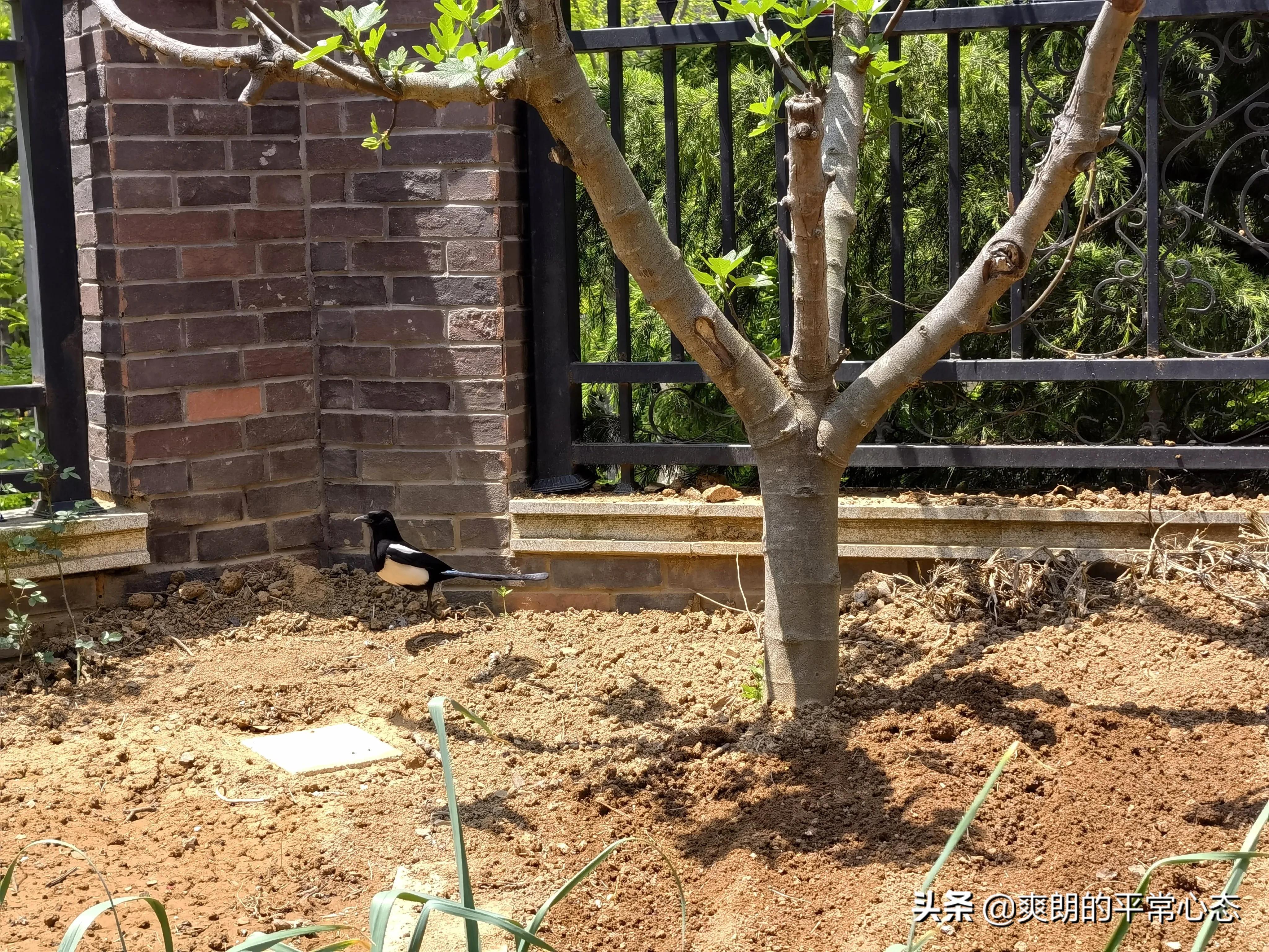 一分耕耘一分收获，努力越大，收获越多(图7)