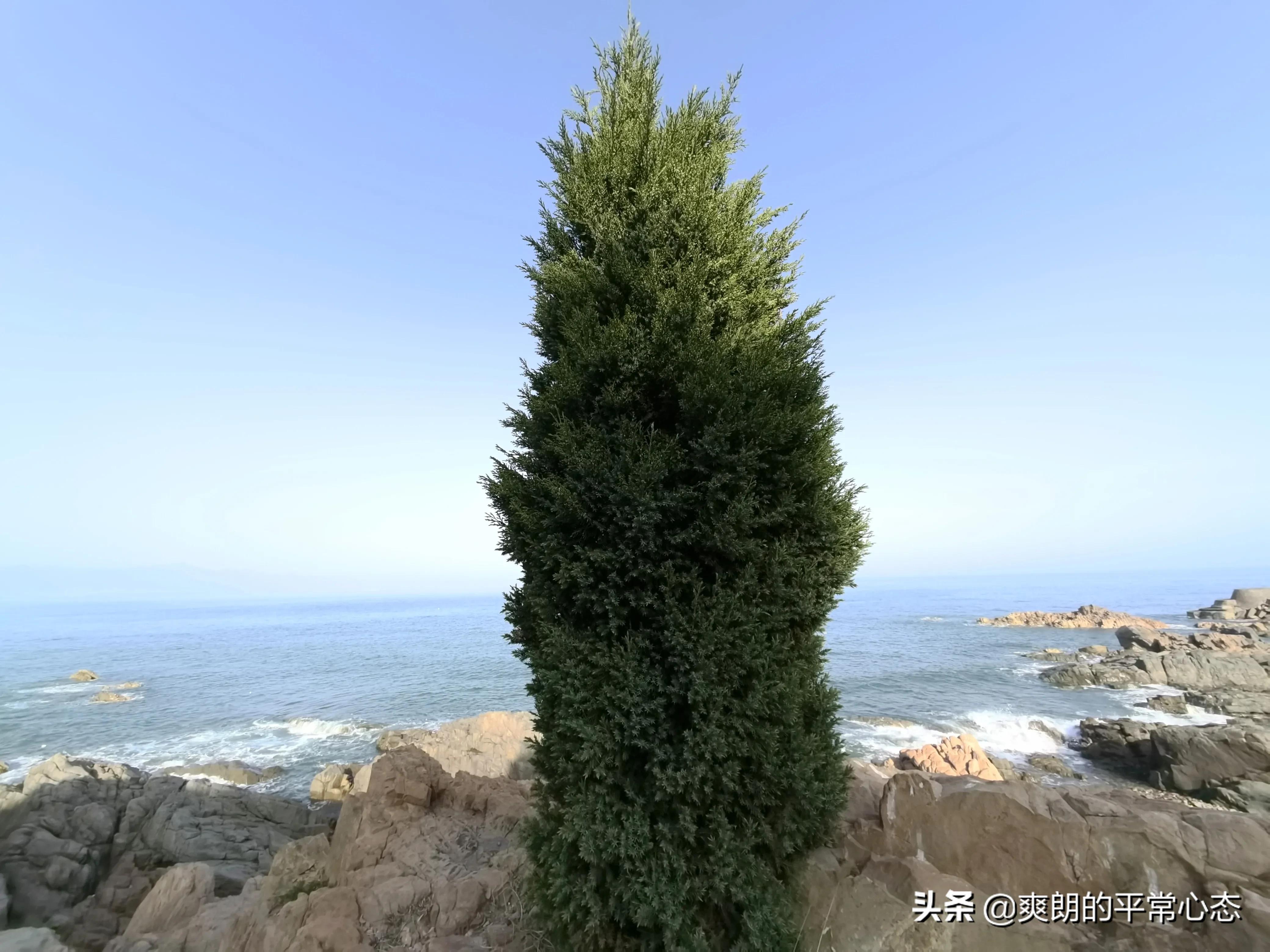 一分耕耘一分收获，努力越大，收获越多(图8)