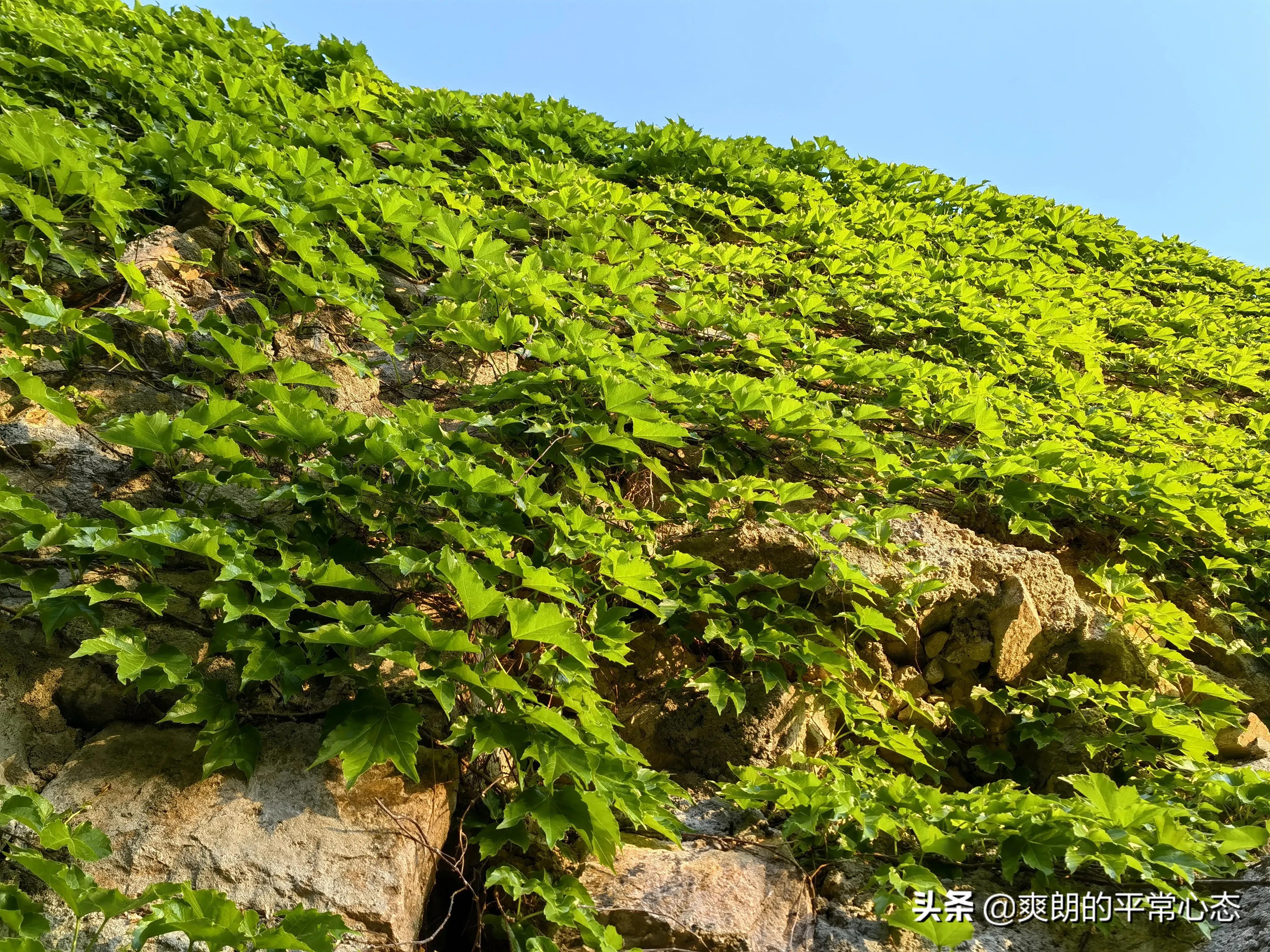 一分耕耘一分收获，努力越大，收获越多(图12)