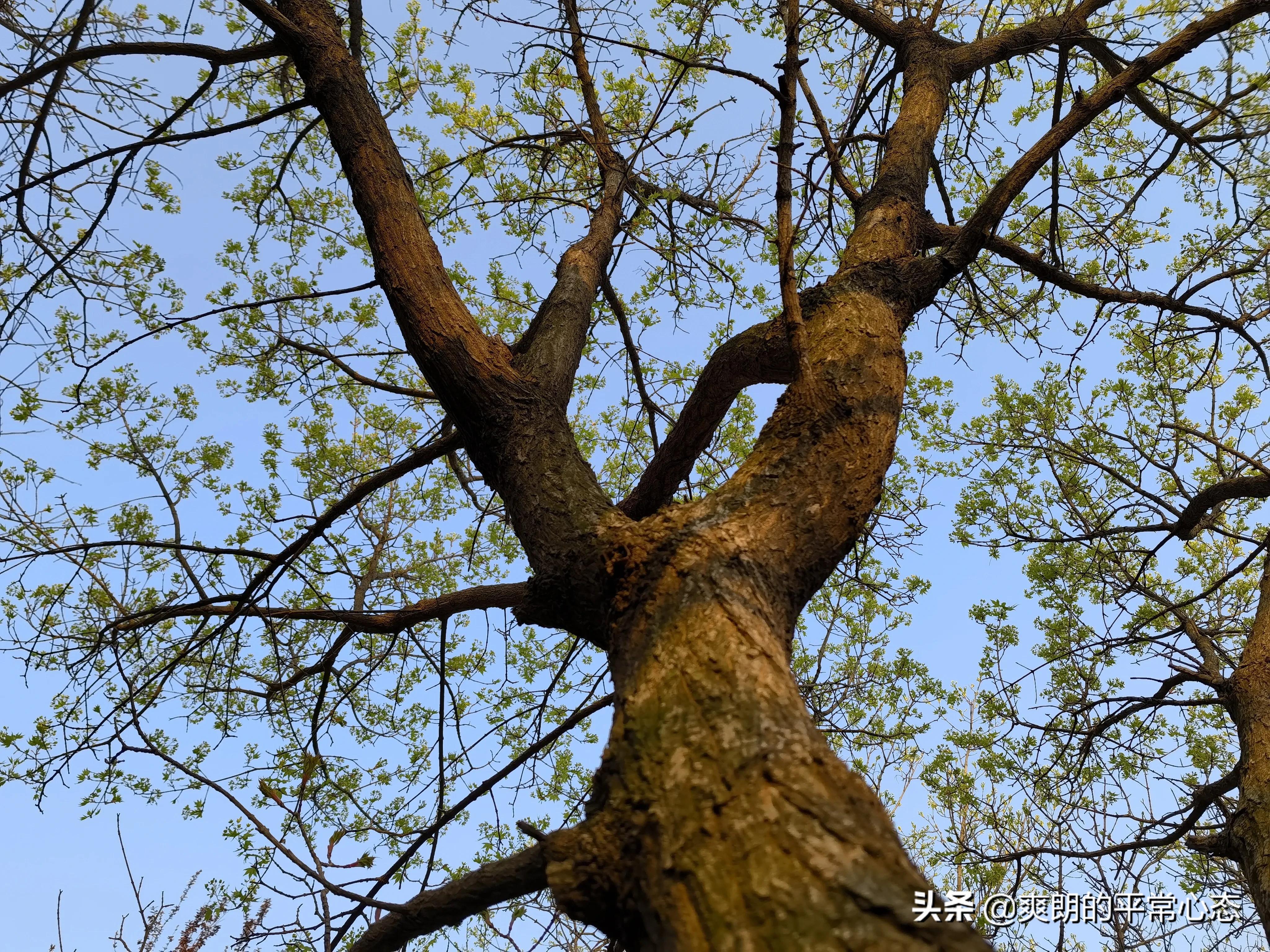 一分耕耘一分收获，努力越大，收获越多(图15)