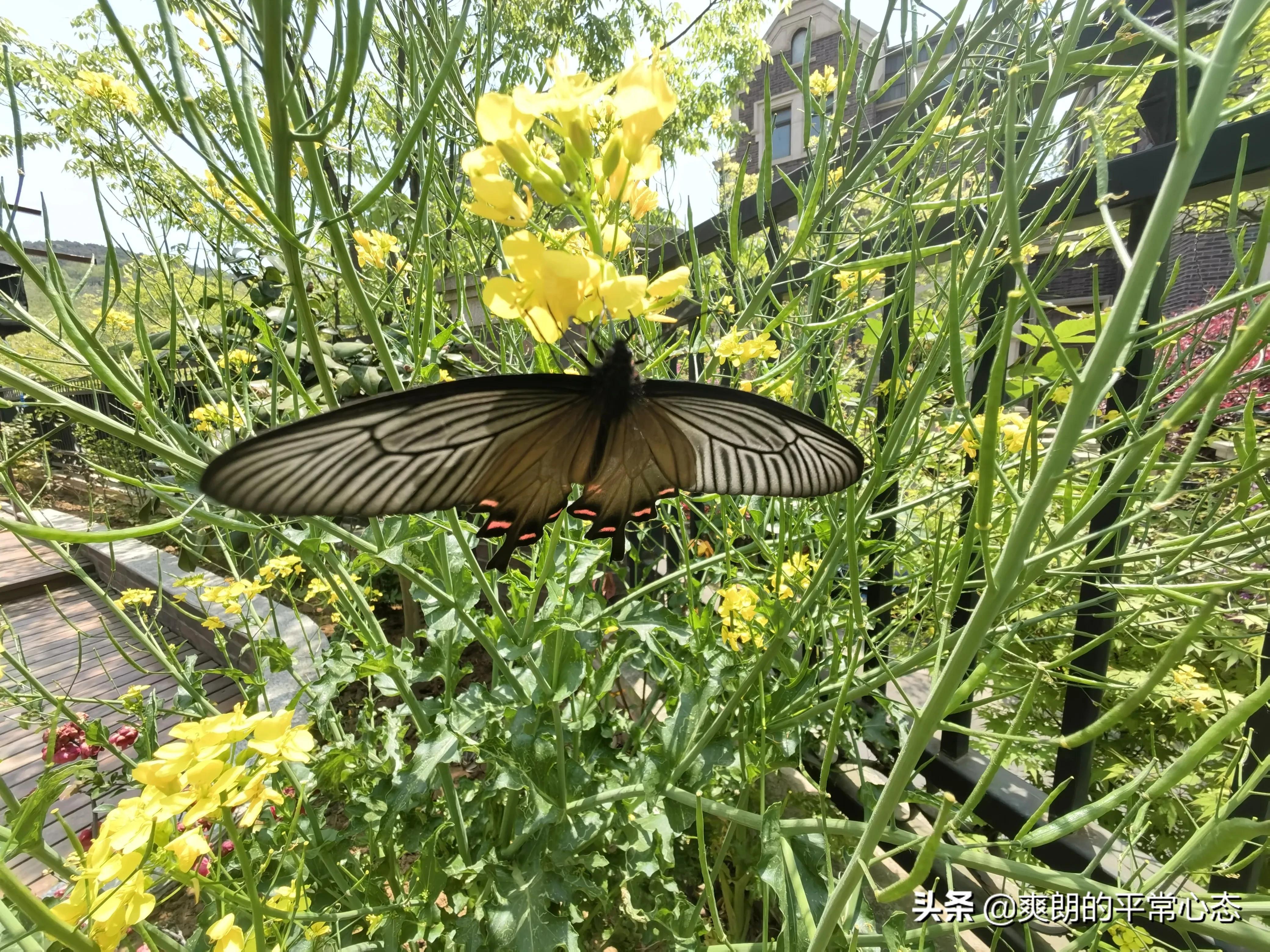 一分耕耘一分收获，努力越大，收获越多(图16)
