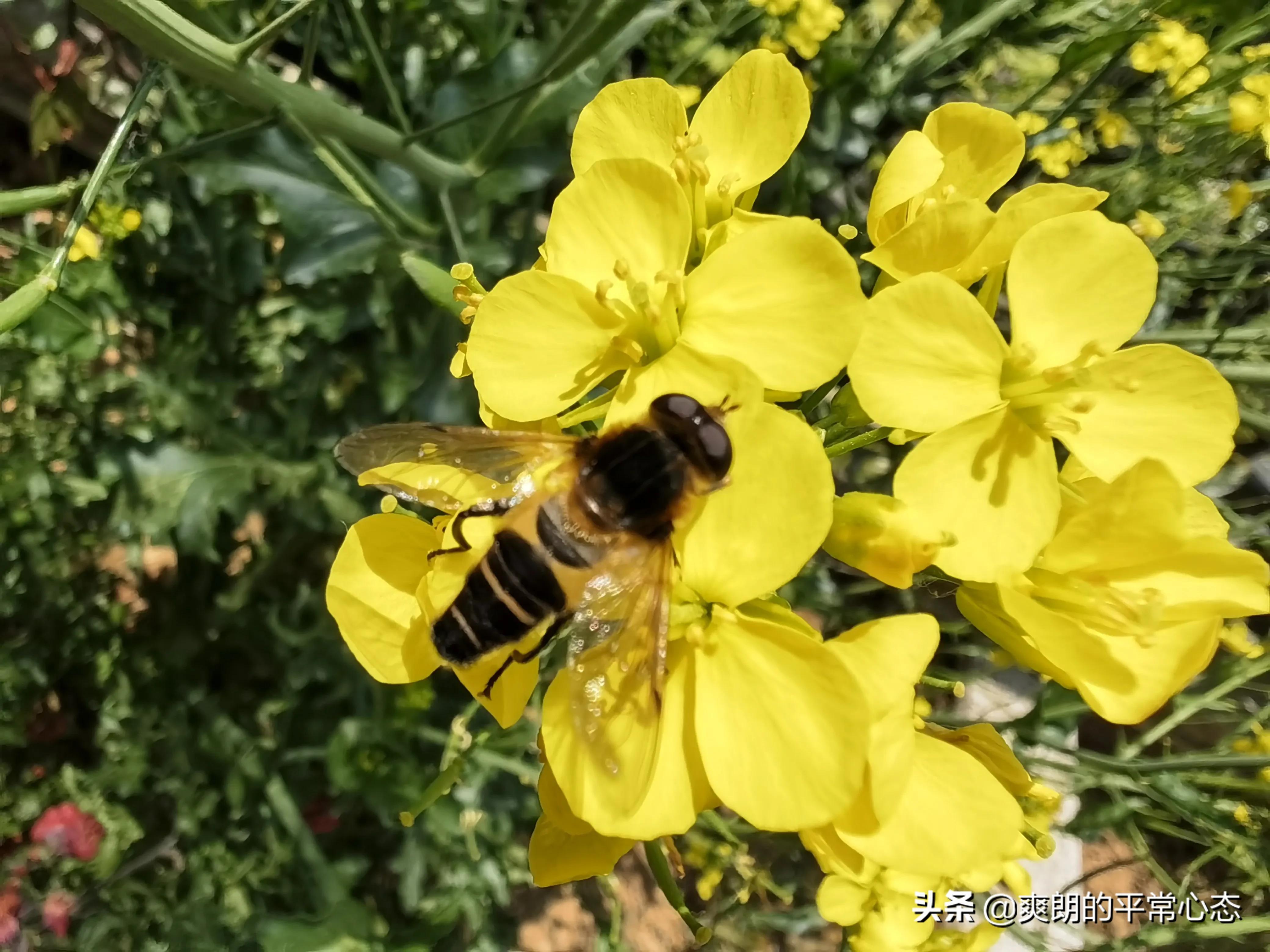 一分耕耘一分收获，努力越大，收获越多(图17)