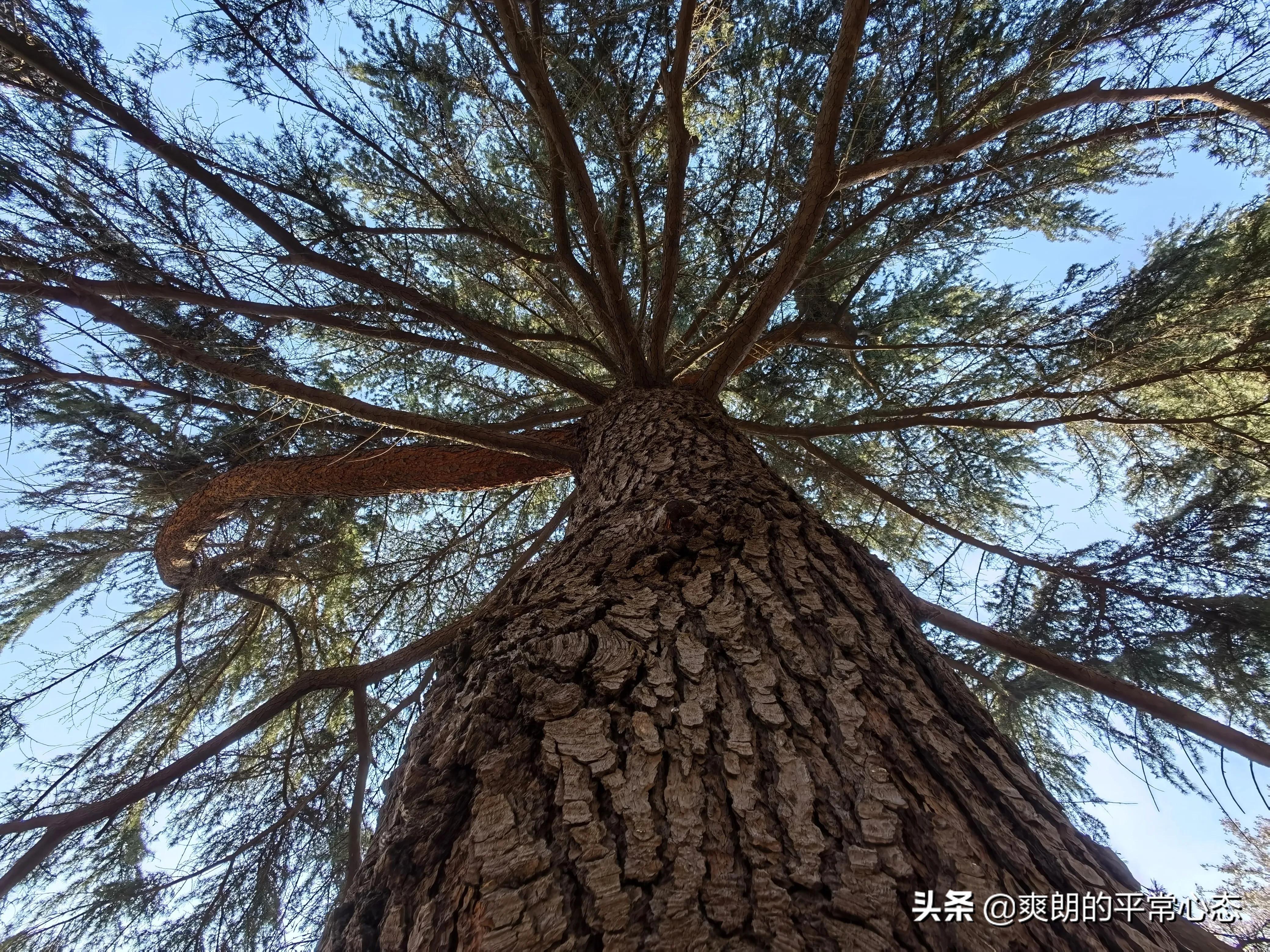 一分耕耘一分收获，努力越大，收获越多(图19)