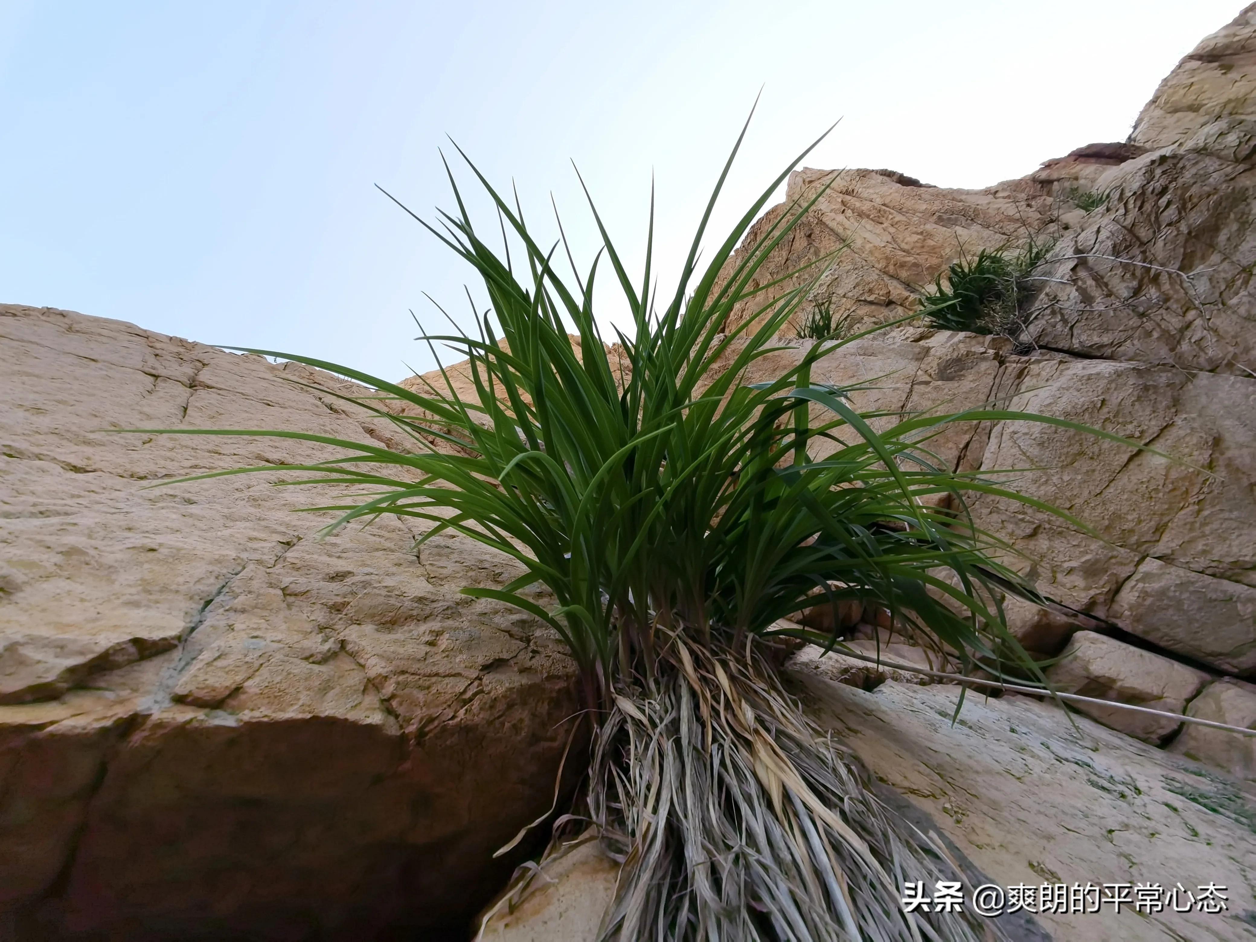 一分耕耘一分收获，努力越大，收获越多(图23)