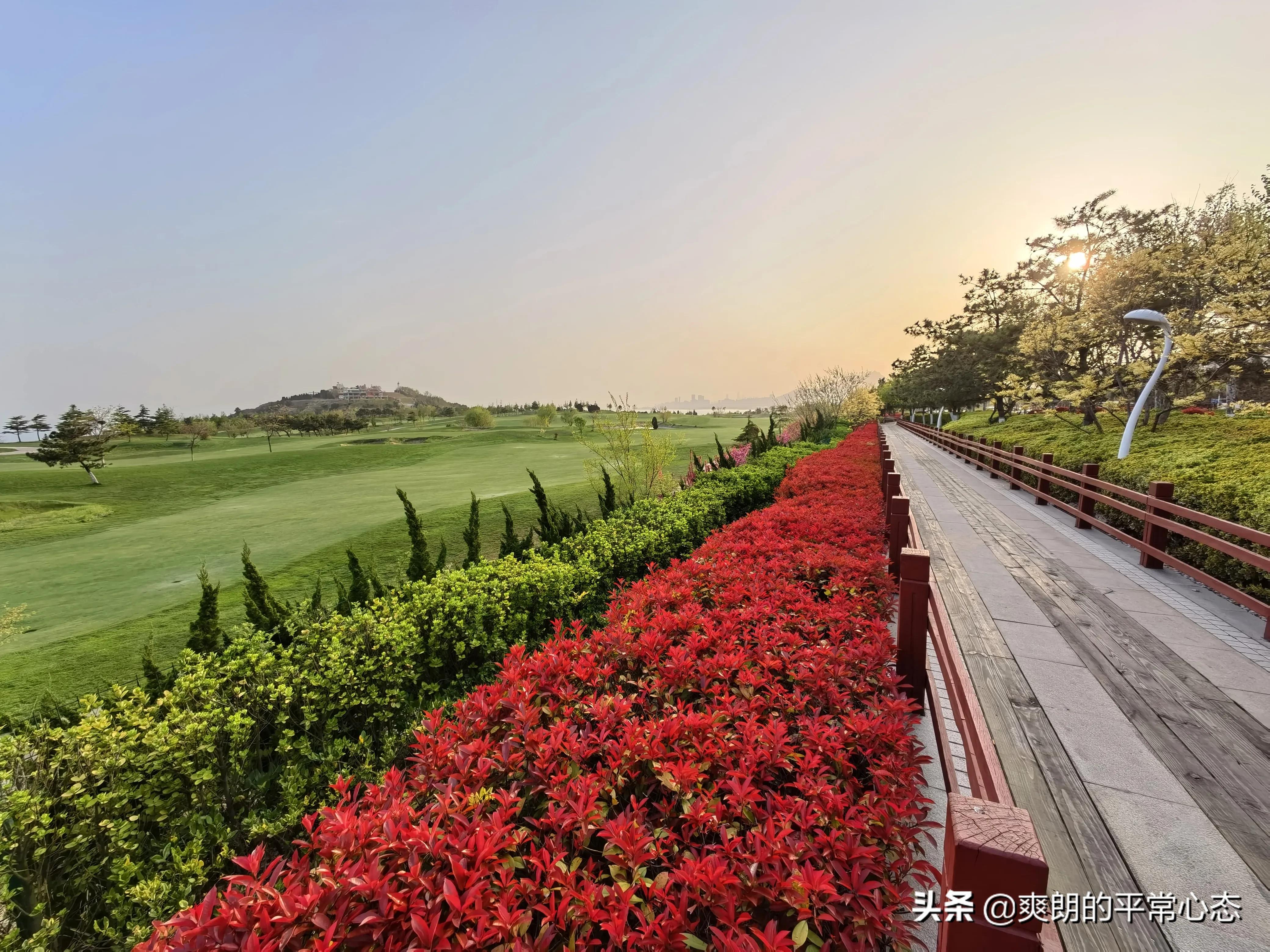 一分耕耘一分收获，努力越大，收获越多(图24)