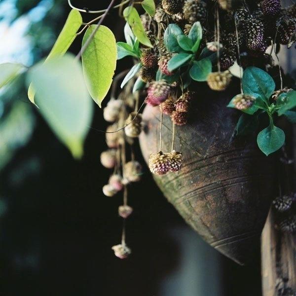 说中心事的干净句子，情商超高，让你魅力非凡(图1)