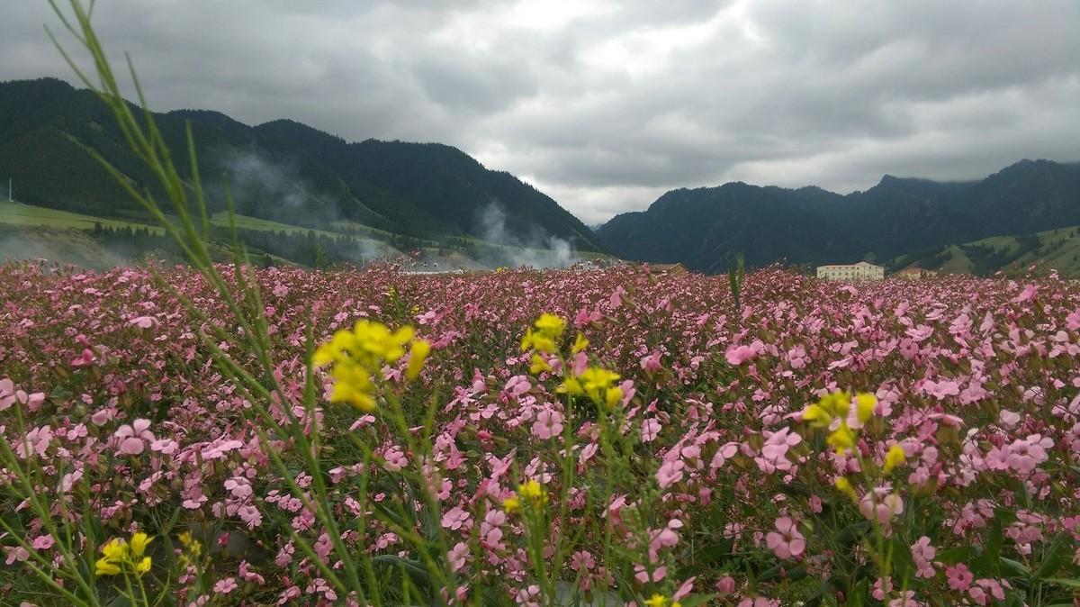 人生靠自己的励志句子，成长的路上你可以哭，但不可以放弃和认输(图3)