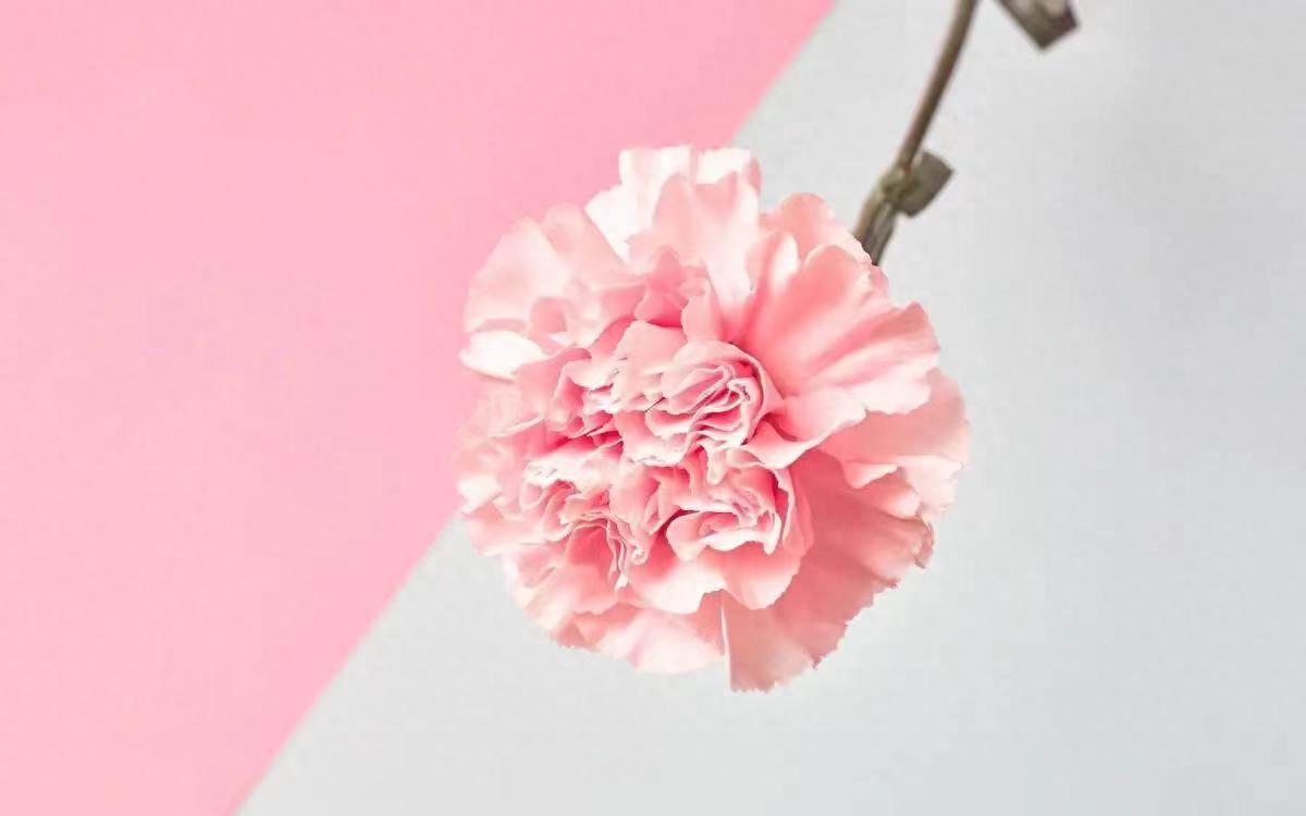 爱情的真谛：3个无畏争执的迹象(图3)