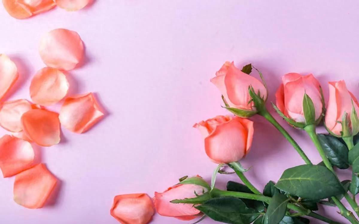 爱情的真谛：3个无畏争执的迹象(图4)