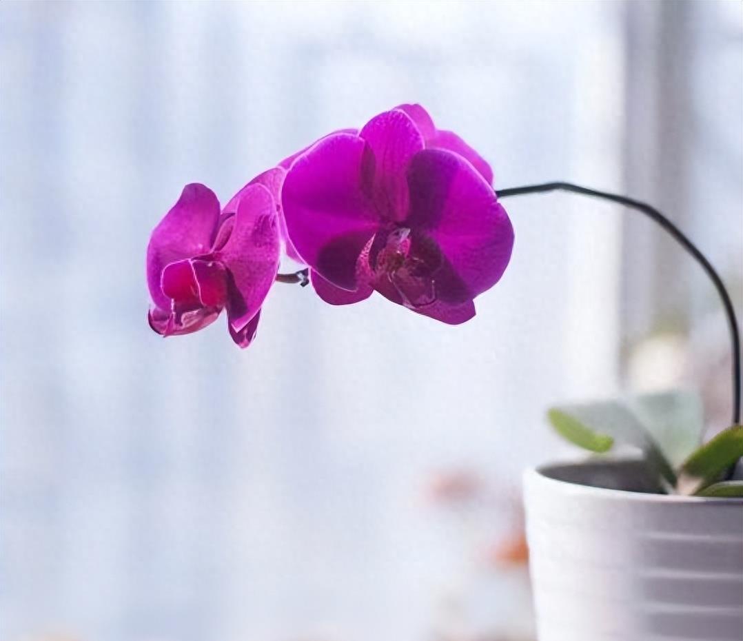 爱情的真谛：3个无畏争执的迹象(图5)