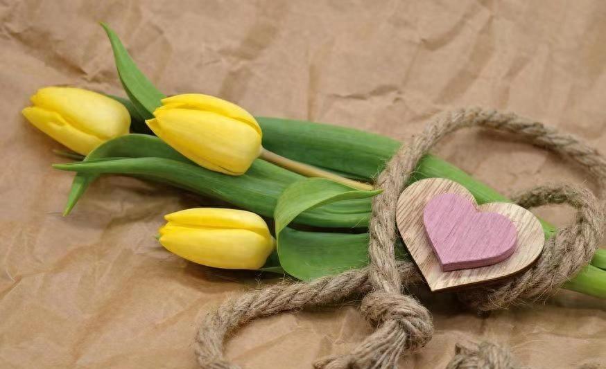 爱情的真谛：3个无畏争执的迹象(图7)