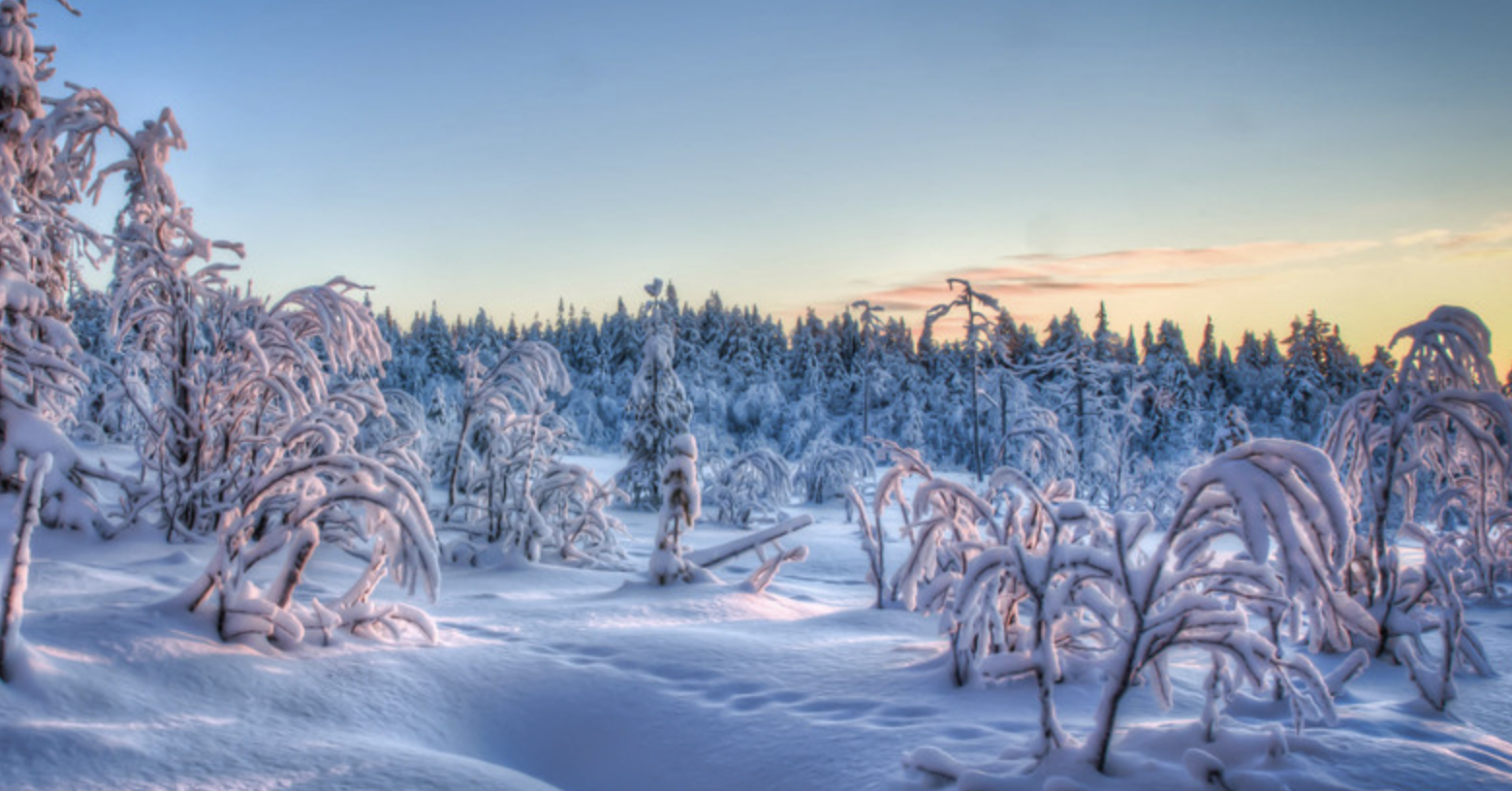 极为聪明，经常让人看不透的四个星座(图1)