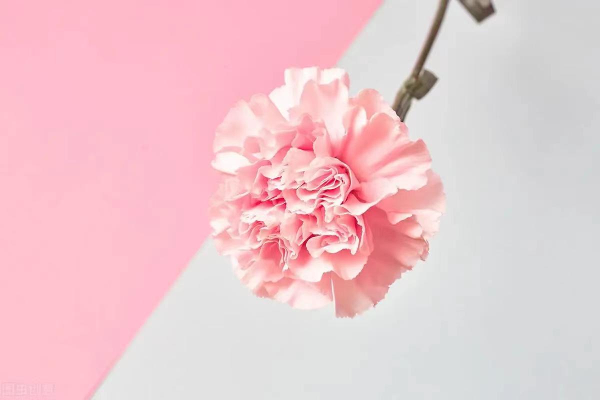 男女交往，真正重感情的人表现为：3个“不较劲”(图3)