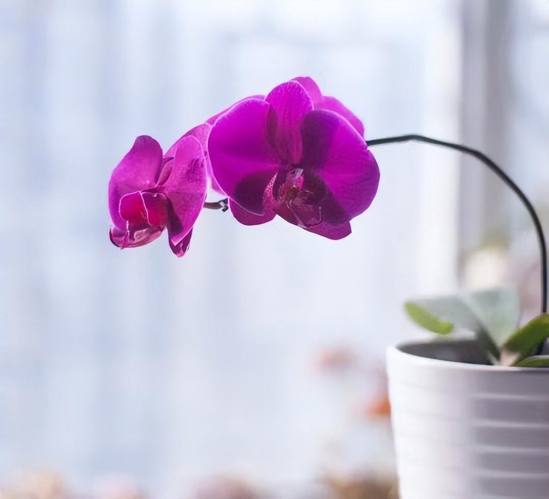 男女交往，真正重感情的人表现为：3个“不较劲”(图5)