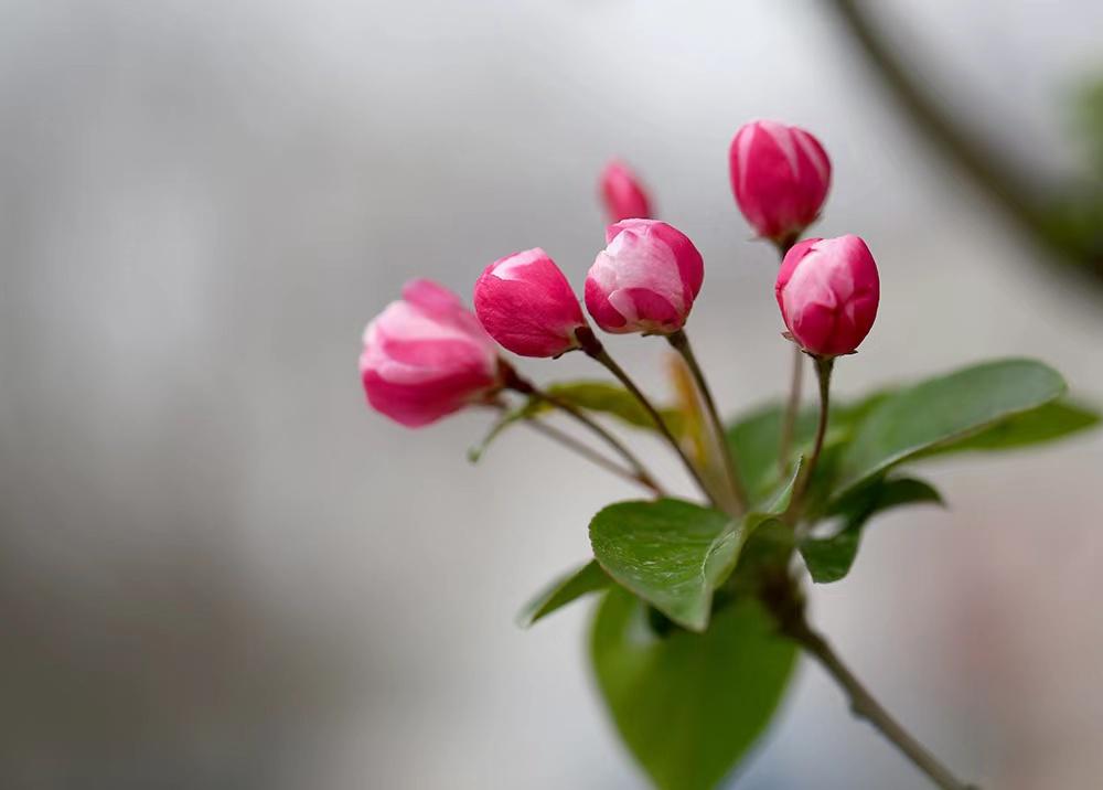 男女交往，真正重感情的人表现为：3个“不较劲”(图6)