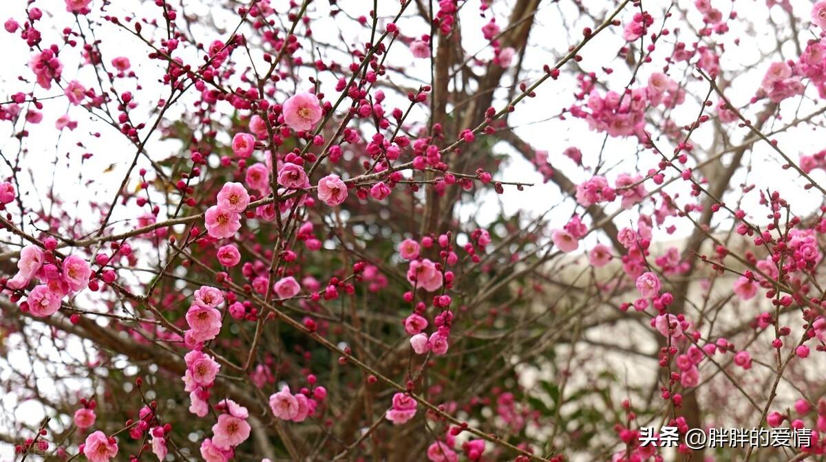 人生起起落落，相信自己，不断去努力去奋斗，成功最终就会是你的(图1)