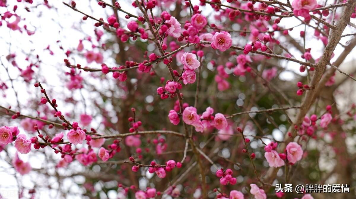 人生起起落落，相信自己，不断去努力去奋斗，成功最终就会是你的(图2)