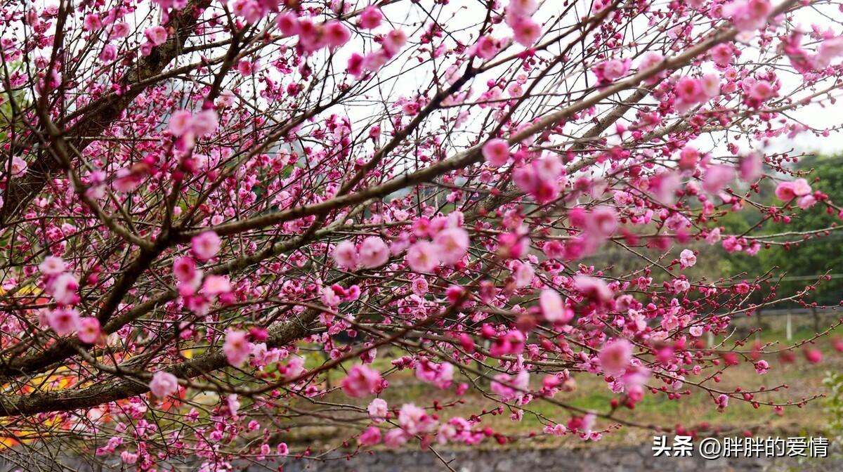 人生起起落落，相信自己，不断去努力去奋斗，成功最终就会是你的(图3)