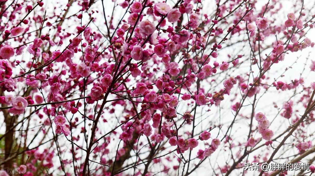 人生起起落落，相信自己，不断去努力去奋斗，成功最终就会是你的(图4)