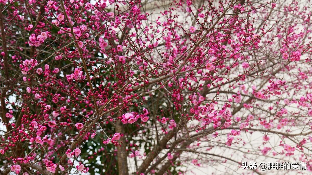 人生起起落落，相信自己，不断去努力去奋斗，成功最终就会是你的(图5)