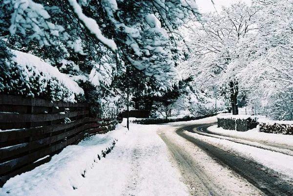 正能量句子，去应对人生的起落(图2)