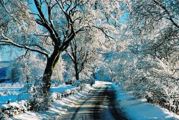 正能量句子，去应对人生的起落(图3)