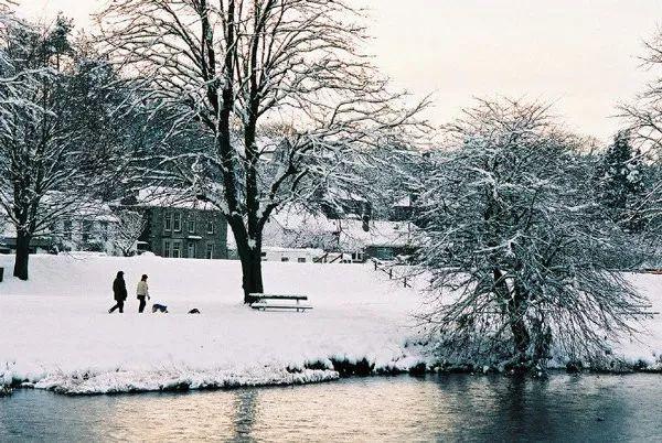 正能量句子，去应对人生的起落(图4)