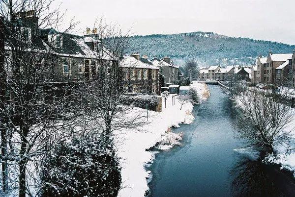 正能量句子，去应对人生的起落(图5)