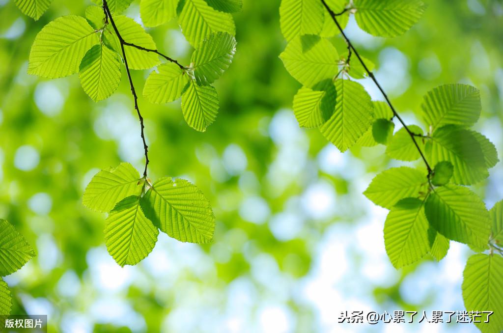 句句说到心坎的人生感悟，人生起起落落(图3)