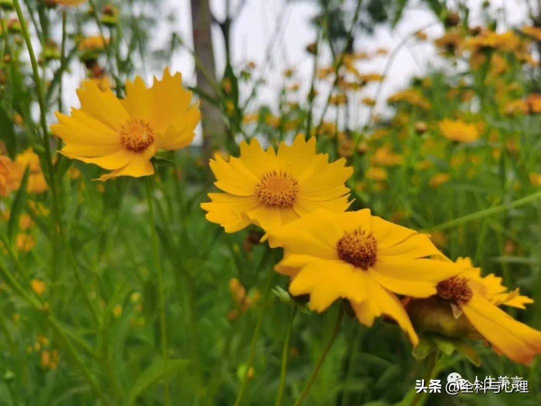 每日正能量励志心语，激励人积极上进的句子(图2)