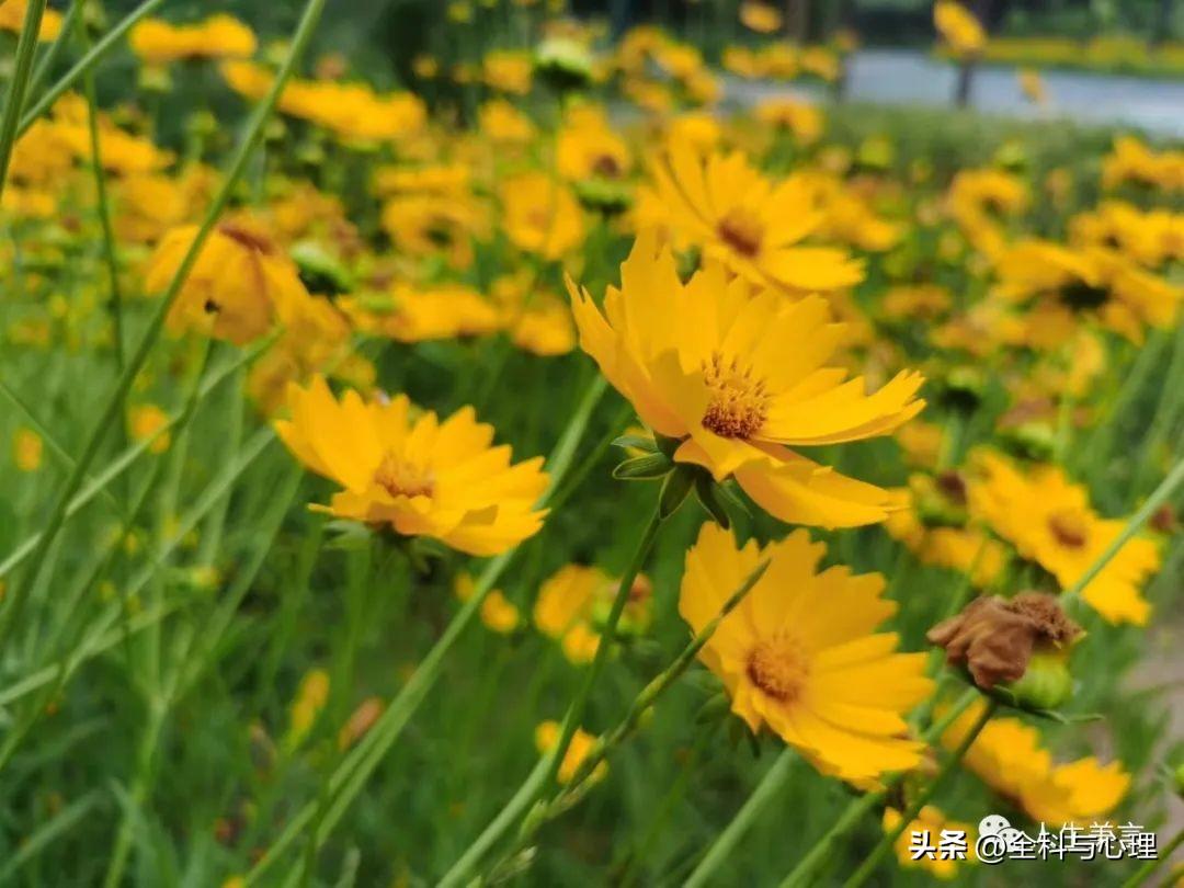 每日正能量励志心语，激励人积极上进的句子(图3)