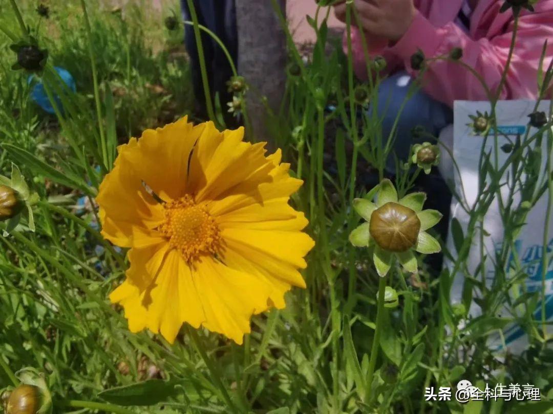 每日正能量励志心语，激励人积极上进的句子(图4)