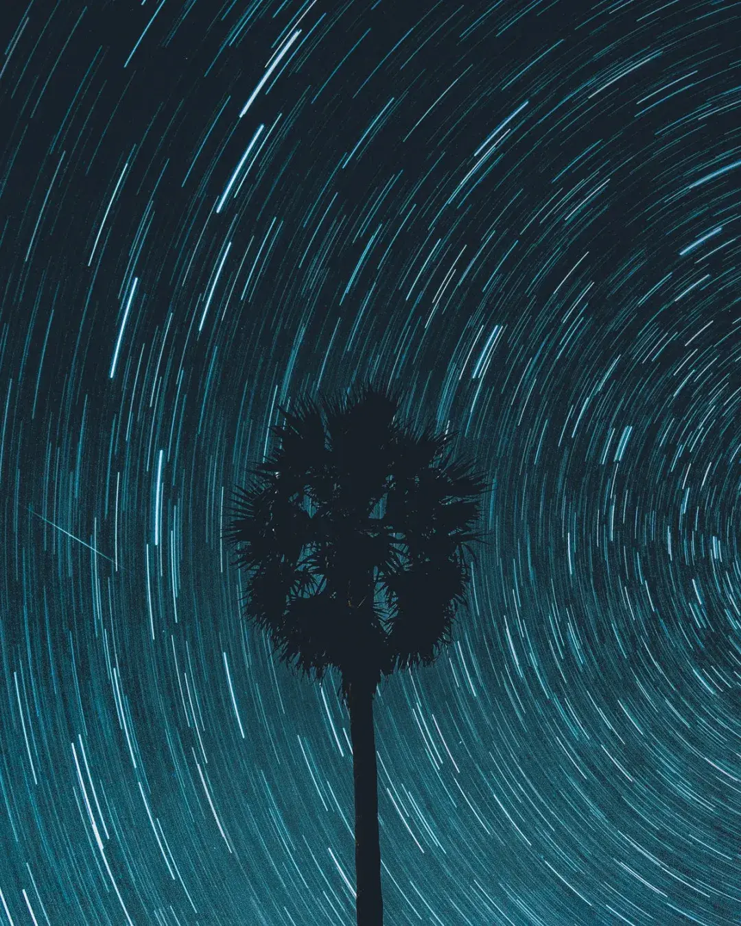 麦家《人生海海》20句,一分钟的和好抵得过一辈子的仇恨。(图19) 麦家《人生海海》20句,一分钟的和好抵得过一辈子的仇恨。(图19)