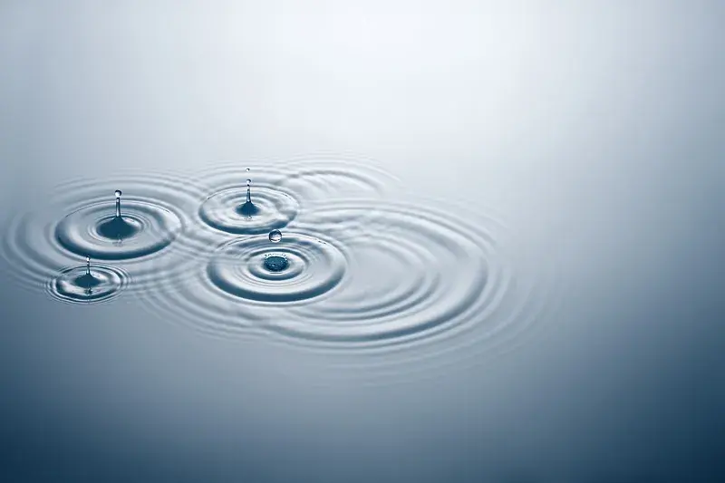 蔡建军：敢讲真话是美德(图1)