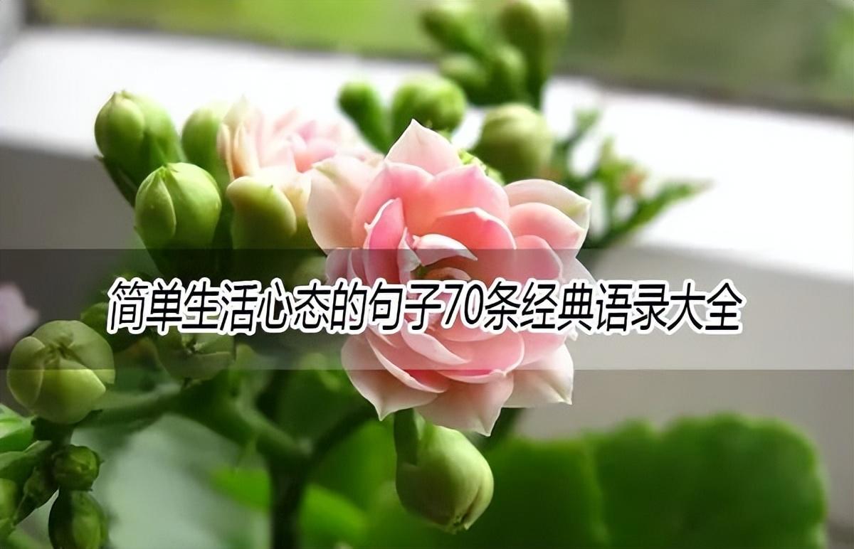 简单生活心态的句子70条经典语录大全(图1)