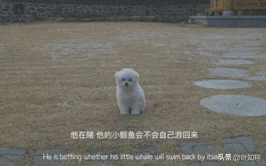 文案 | 每一句都像是在说自己的句子(图2)