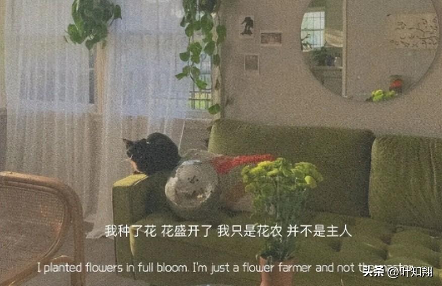 文案 | 每一句都像是在说自己的句子(图6)