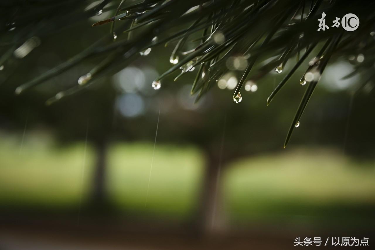 58句关于雨的唯美句子，如41度的夏天的一场雨(图2)