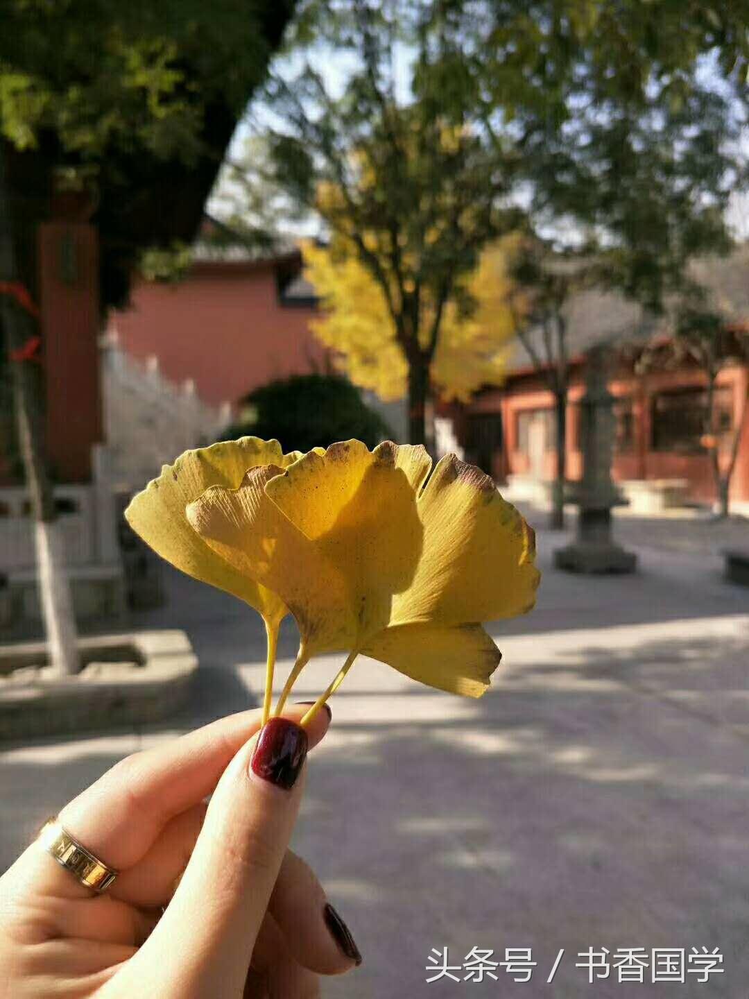 文学名家笔下关于雨的句子，你还知道哪些？(图1)