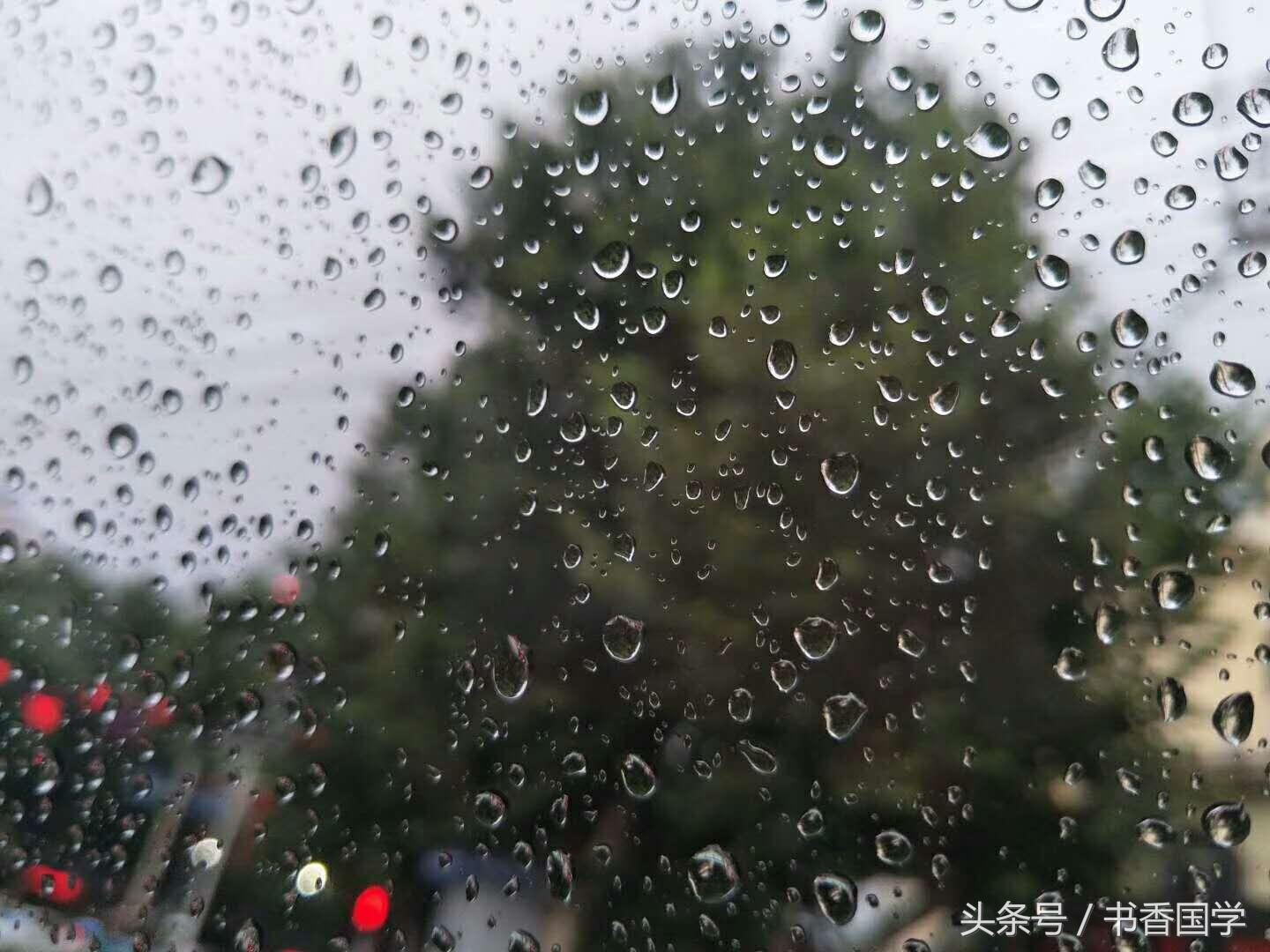 文学名家笔下关于雨的句子，你还知道哪些？(图5)