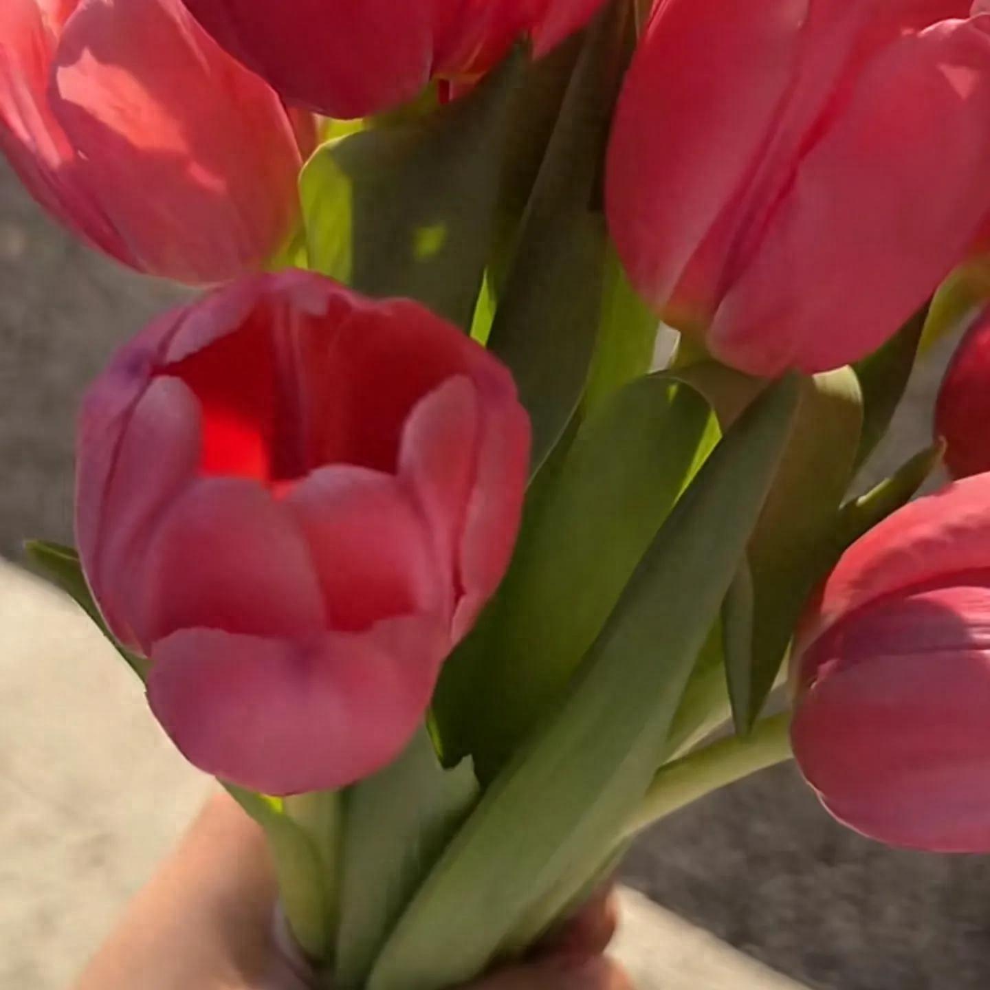 超有文艺气息的句子(图1)