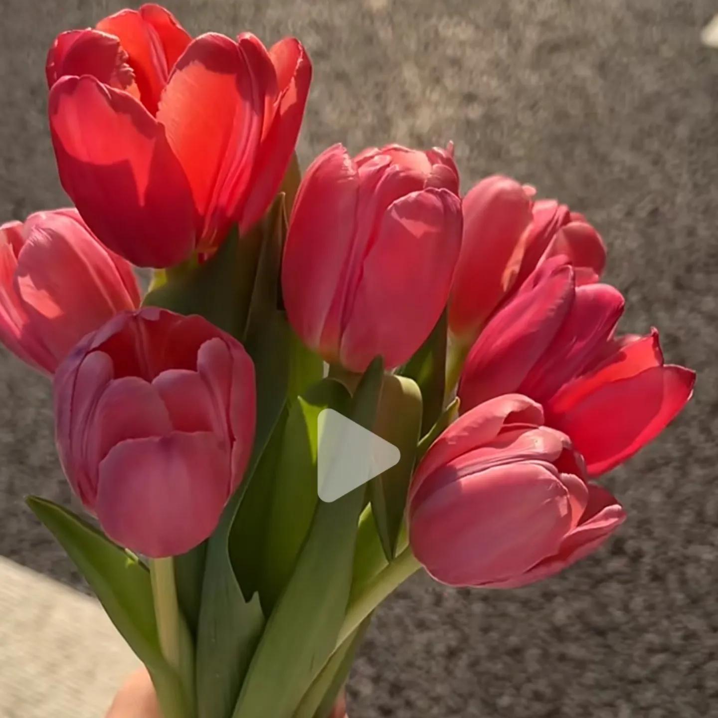 超有文艺气息的句子(图2) 超有文艺气息的句子(图2)